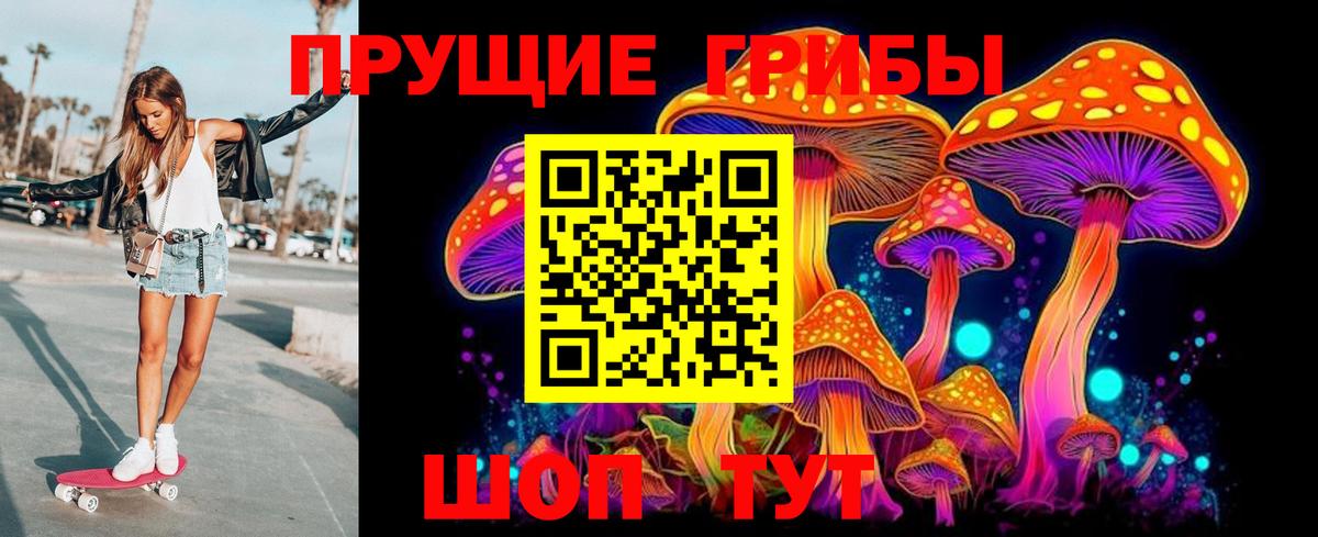 Минусинск  Галлюциногенные грибы прущие грибы  Вход с VPN 